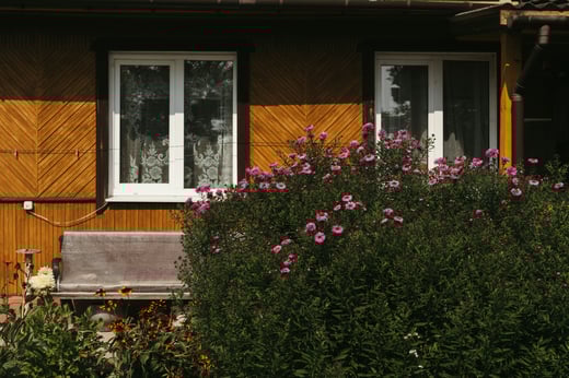 polina-kuzovkova-0vYWZFQ43Bc-unsplash