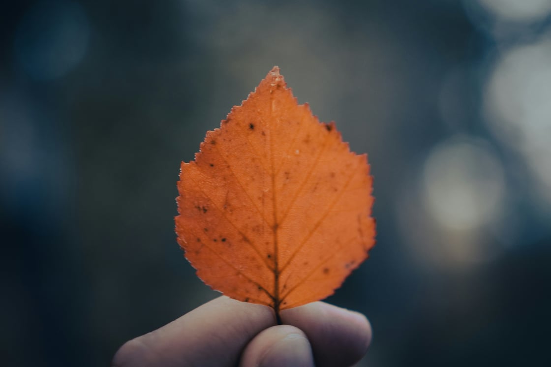 samuel-girven-hrtjF6h4oOc-unsplash